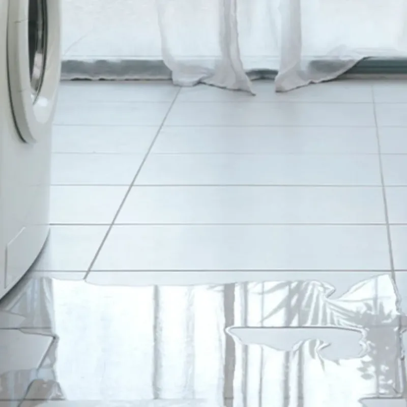 Appliance Leak Cleanup in Franklin, MI