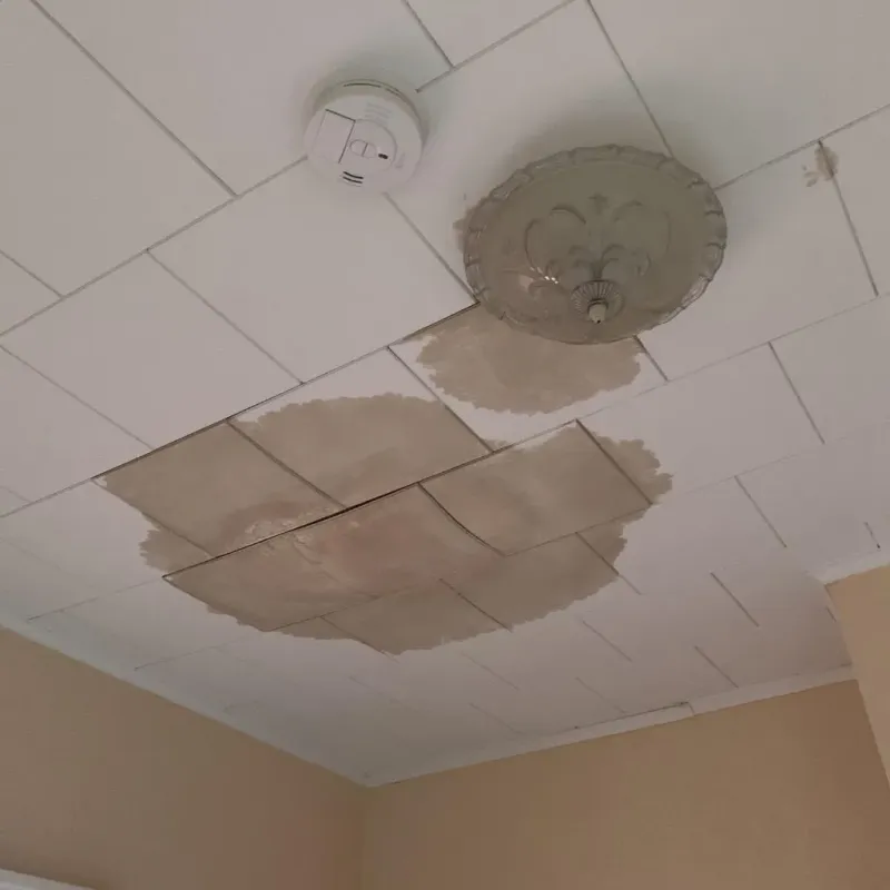 Ceiling Water Damage Repair in Franklin, MI