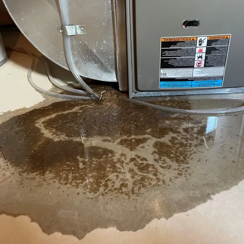 Pipe Burst and Leak Restoration in Franklin, MI